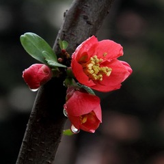 IMG_8093hj_调整大小_调整大小