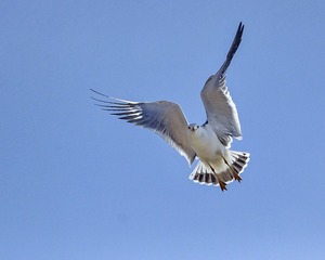 IMG_0582H_调整大小_调整大小