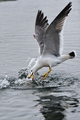 IMG_2385J_调整大小_调整大小