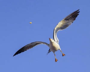 IMG_4941hxbJ_调整大小_调整大小