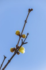 DSC01311HJ_调整大小