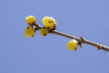 DSC01313HJB_调整大小