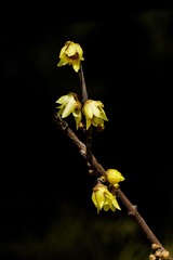 DSC01321HJB_调整大小
