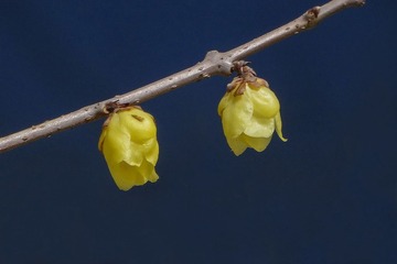 DSC01327HJB_调整大小