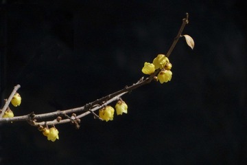 DSC01328HJB_调整大小