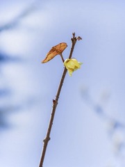 DSC01339HJB_调整大小