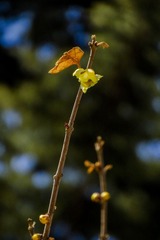 DSC01341HJB_调整大小