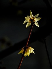 DSC01466HJB_调整大小