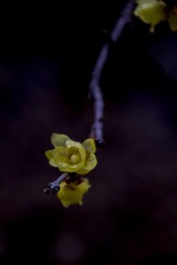 IMG_5207HB_调整大小