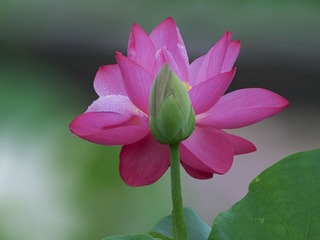 DSC00196HBB_调整大小