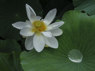 DSC00230HB_调整大小