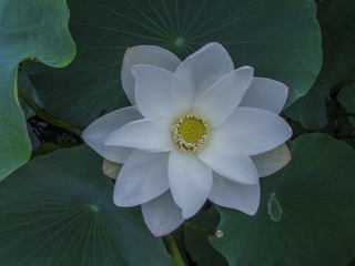 DSC00244H_调整大小