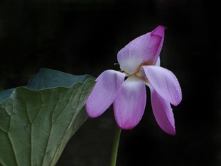 DSC09337HB_调整大小