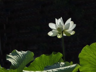 DSC09553HB_调整大小