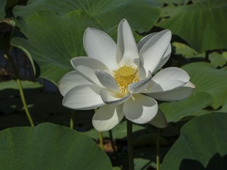 DSC09622H_调整大小