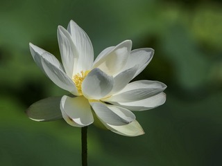 DSC09624HB_调整大小