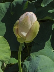 DSC09645H_调整大小