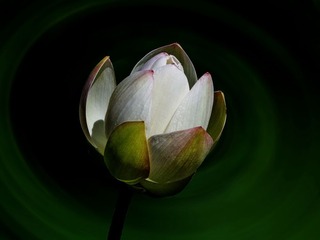 DSC09649HB_调整大小