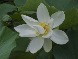 DSC09732HB_调整大小