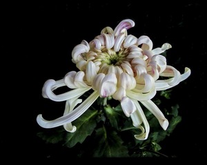 DSC00910Z_调整大小