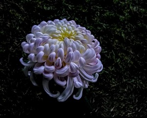 DSC01228Z_调整大小