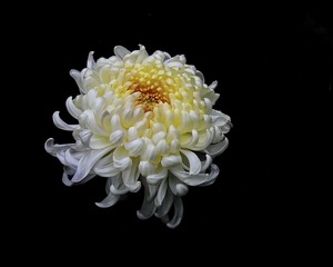 DSC01241Z_调整大小