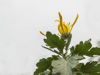 IMG_1574Z_调整大小