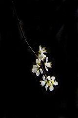 DSC01567HJ_调整大小