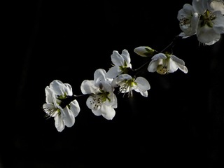 DSC01630HB_调整大小
