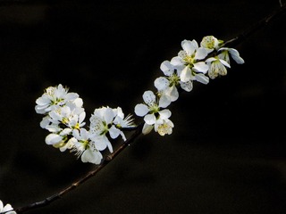 DSC01571H_调整大小
