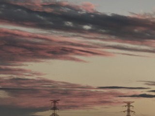1000016143