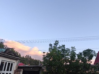 1000108741
