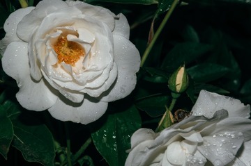 99773
