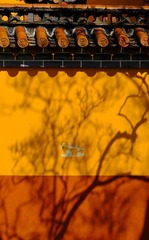44499622-97AA-4AC6-81D0-9C9B9ED28235/L0/001