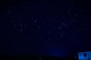 3139665