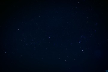 3139664