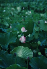 9F9A60ED-E125-480C-9013-5362356773C1/L0/001
