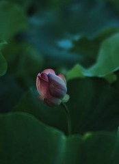 D7628004-9864-44F7-86C4-7DD7F0D9F074/L0/001