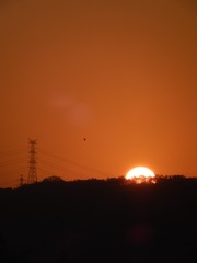 9E977474-81FD-4598-B7B3-B4916BCB1806/L0/001