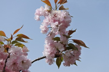 201384