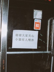 Optional(