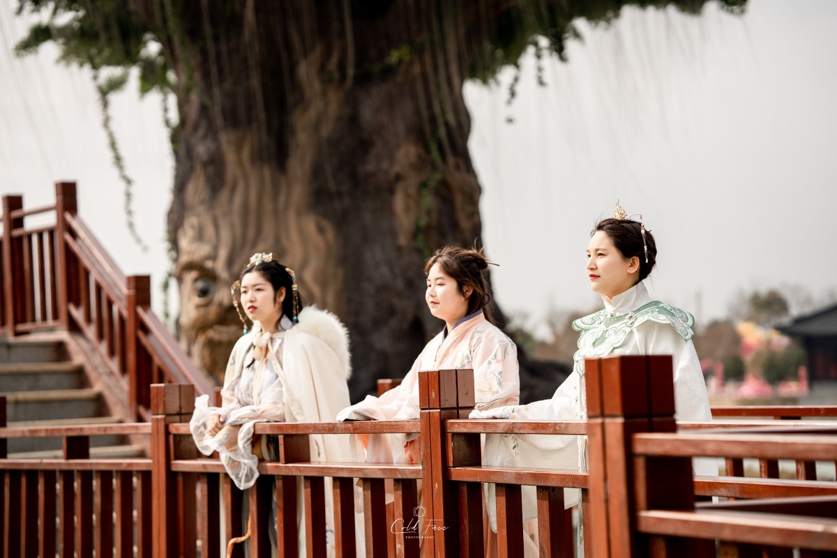 西溪天仙配风景区2021辛丑年