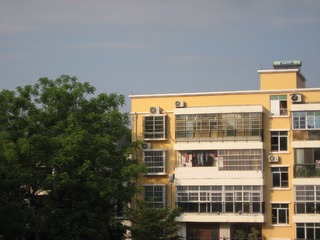 3292005