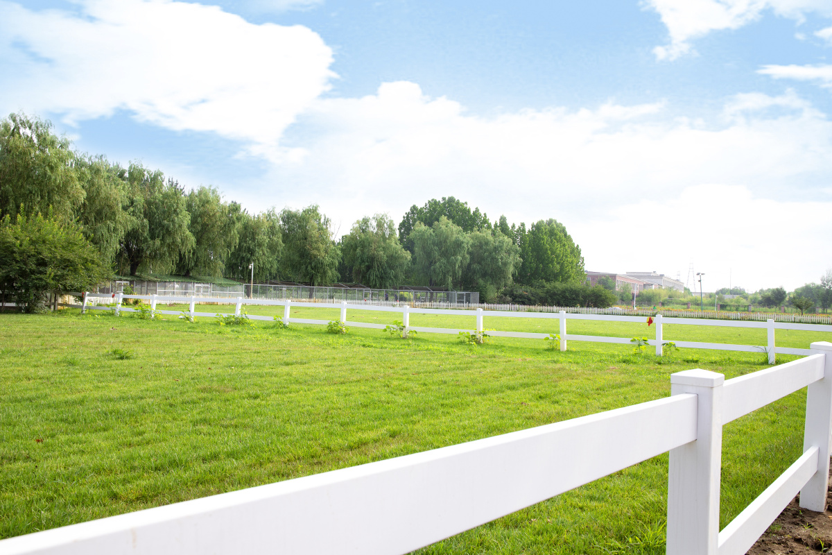 北京蓝调薰衣草庄园