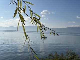 73C04D2B-8F6A-4B15-98A5-BBF88FDD172C/L0/001