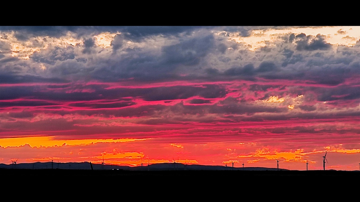 粉色的天夕阳西下