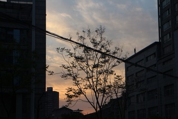 100517