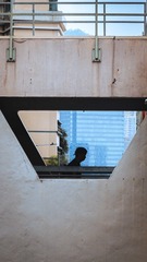 001