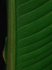 78324