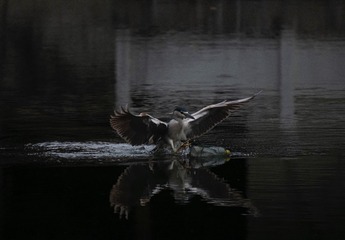 A0E38105-41CF-4978-81B1-CCBF4CF8A0BC/L0/001